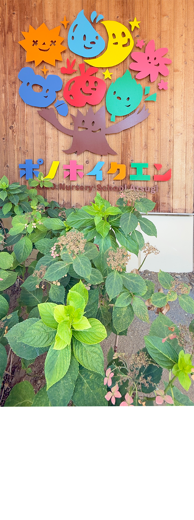 カビの実験をする子どもたちに驚き！ポノ保育園でおなか元気教室